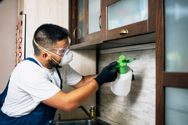 Best Bed Bug Extermination  in Sandersville, GA