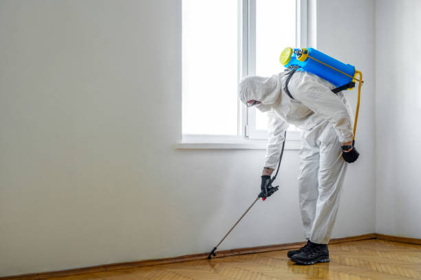 Best Rat Extermination Near Me  in Sandersville, GA