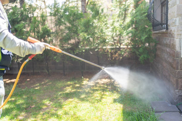 Best Bed Bug Extermination  in Sandersville, GA