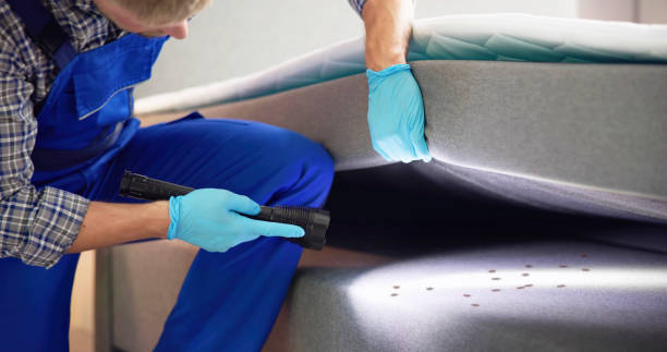 Best Local Pest Control Services  in Sandersville, GA