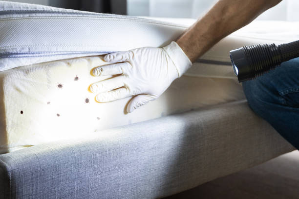 Sandersville, GA Pest Control Company