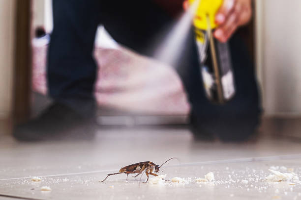 Best Cockroach Control Services  in Sandersville, GA