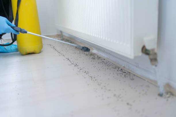 Best Mosquito Control Services  in Sandersville, GA