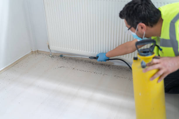 Best Pest Prevention Services  in Sandersville, GA