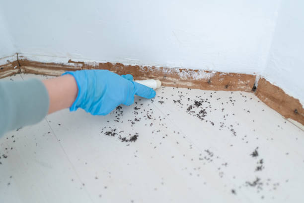 Best Pest Control Near Me  in Sandersville, GA