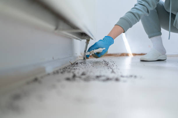 Best Wasp Removal Services  in Sandersville, GA